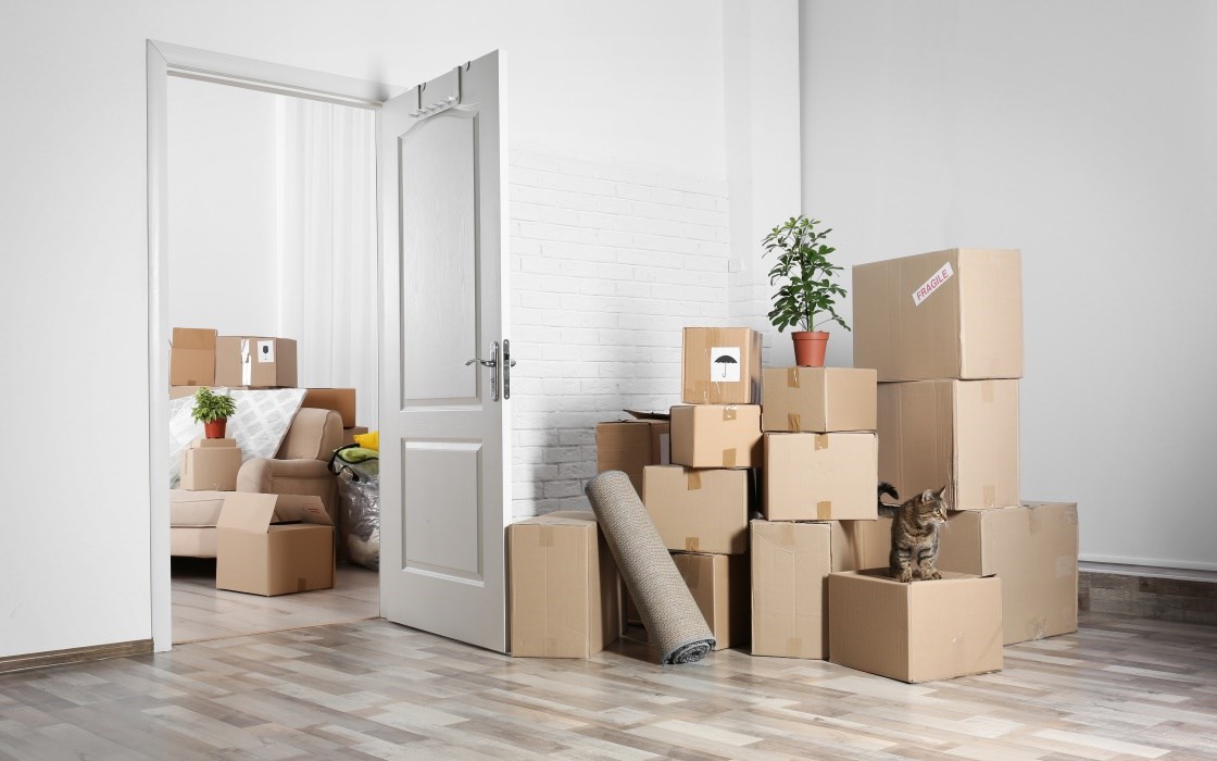 office shifting